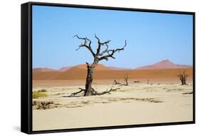 Deadvlei - Camel Thorn Trees and Dunes-Otto du Plessis-Framed Stretched Canvas