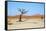 Deadvlei - Camel Thorn Trees and Dunes-Otto du Plessis-Framed Stretched Canvas