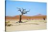 Deadvlei - Camel Thorn Trees and Dunes-Otto du Plessis-Stretched Canvas