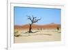 Deadvlei - Camel Thorn Trees and Dunes-Otto du Plessis-Framed Photographic Print