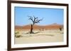 Deadvlei - Camel Thorn Trees and Dunes-Otto du Plessis-Framed Photographic Print