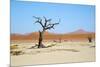 Deadvlei - Camel Thorn Trees and Dunes-Otto du Plessis-Mounted Photographic Print