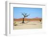 Deadvlei - Camel Thorn Trees and Dunes-Otto du Plessis-Framed Photographic Print