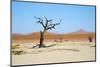 Deadvlei - Camel Thorn Trees and Dunes-Otto du Plessis-Mounted Photographic Print