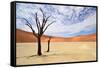 Deadvlei,Namib Desert,Namibia-Karel Gallas-Framed Stretched Canvas