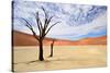 Deadvlei,Namib Desert,Namibia-Karel Gallas-Stretched Canvas