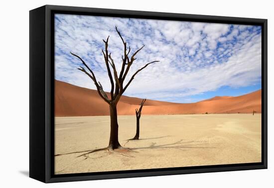 Deadvlei,Namib Desert,Namibia-Karel Gallas-Framed Stretched Canvas