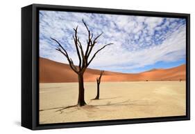 Deadvlei,Namib Desert,Namibia-Karel Gallas-Framed Stretched Canvas