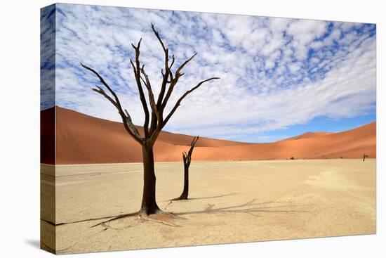 Deadvlei,Namib Desert,Namibia-Karel Gallas-Stretched Canvas
