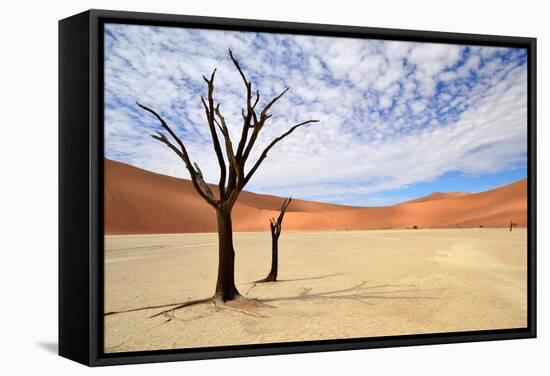 Deadvlei,Namib Desert,Namibia-Karel Gallas-Framed Stretched Canvas