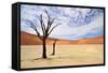 Deadvlei,Namib Desert,Namibia-Karel Gallas-Framed Stretched Canvas