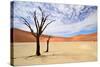 Deadvlei,Namib Desert,Namibia-Karel Gallas-Stretched Canvas