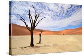 Deadvlei,Namib Desert,Namibia-Karel Gallas-Stretched Canvas