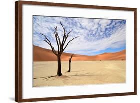 Deadvlei,Namib Desert,Namibia-Karel Gallas-Framed Photographic Print