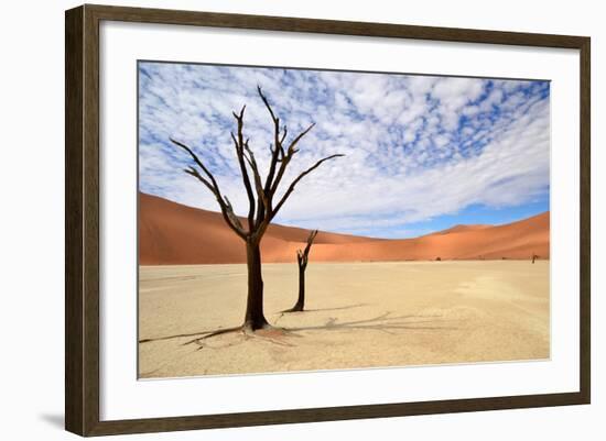 Deadvlei,Namib Desert,Namibia-Karel Gallas-Framed Photographic Print