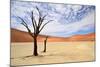 Deadvlei,Namib Desert,Namibia-Karel Gallas-Mounted Photographic Print