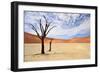 Deadvlei,Namib Desert,Namibia-Karel Gallas-Framed Photographic Print