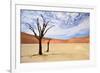 Deadvlei,Namib Desert,Namibia-Karel Gallas-Framed Photographic Print