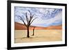 Deadvlei,Namib Desert,Namibia-Karel Gallas-Framed Photographic Print