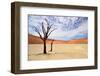 Deadvlei,Namib Desert,Namibia-Karel Gallas-Framed Photographic Print