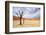 Deadvlei,Namib Desert,Namibia-Karel Gallas-Framed Photographic Print