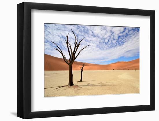 Deadvlei,Namib Desert,Namibia-Karel Gallas-Framed Photographic Print