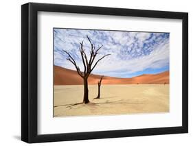 Deadvlei,Namib Desert,Namibia-Karel Gallas-Framed Photographic Print