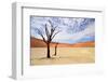 Deadvlei,Namib Desert,Namibia-Karel Gallas-Framed Photographic Print