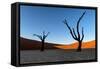 Deadvlei, Namibia, Africa-Karen Deakin-Framed Stretched Canvas