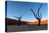 Deadvlei, Namibia, Africa-Karen Deakin-Stretched Canvas