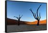 Deadvlei, Namibia, Africa-Karen Deakin-Framed Stretched Canvas