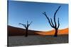 Deadvlei, Namibia, Africa-Karen Deakin-Stretched Canvas