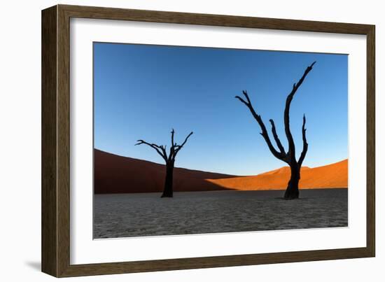Deadvlei, Namibia, Africa-Karen Deakin-Framed Photographic Print