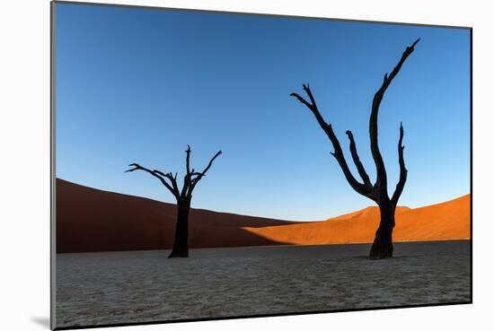 Deadvlei, Namibia, Africa-Karen Deakin-Mounted Photographic Print