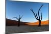 Deadvlei, Namibia, Africa-Karen Deakin-Mounted Photographic Print