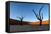 Deadvlei, Namibia, Africa-Karen Deakin-Framed Stretched Canvas