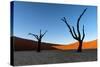 Deadvlei, Namibia, Africa-Karen Deakin-Stretched Canvas