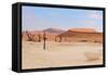 Deadvlei Panorama-Grobler du Preez-Framed Stretched Canvas