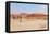 Deadvlei Panorama-Grobler du Preez-Framed Stretched Canvas