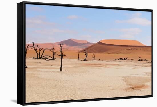 Deadvlei Panorama-Grobler du Preez-Framed Stretched Canvas