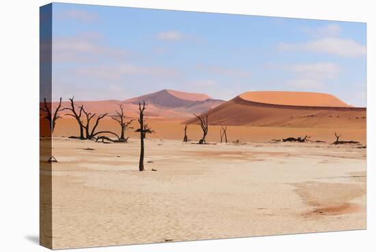 Deadvlei Panorama-Grobler du Preez-Stretched Canvas