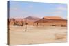 Deadvlei Panorama-Grobler du Preez-Stretched Canvas