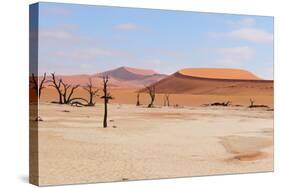 Deadvlei Panorama-Grobler du Preez-Stretched Canvas