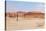 Deadvlei Panorama-Grobler du Preez-Stretched Canvas