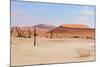 Deadvlei Panorama-Grobler du Preez-Mounted Photographic Print