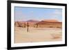 Deadvlei Panorama-Grobler du Preez-Framed Photographic Print