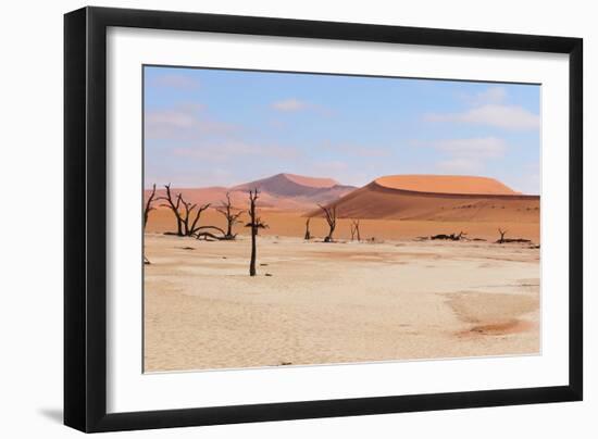 Deadvlei Panorama-Grobler du Preez-Framed Photographic Print