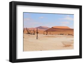 Deadvlei Panorama-Grobler du Preez-Framed Photographic Print