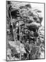 Deadwood Central Railroad Engineer Corps Photograph - Deadwood, SD-Lantern Press-Mounted Art Print