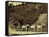 Deadwood Coach, Last Official Visit Of Supreme Court Judges To Deadwood-Grabill-Framed Stretched Canvas